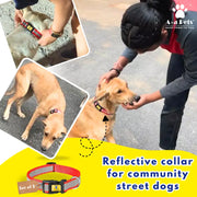 Reflective Community Dog Collar (Set of 5) - www.aplusapets.com