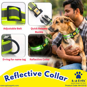 Reflective Community Dog Collar (Set of 5) - www.aplusapets.com