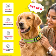 Reflective Community Dog Collar (Set of 5) - www.aplusapets.com