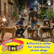 Reflective Community Dog Collar (Set of 5) - www.aplusapets.com