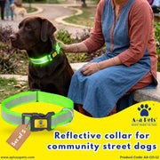 Reflective Community Dog Collar (Set of 5) - www.aplusapets.com