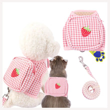 back pack puppies harness and leash for small dog