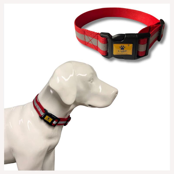 collar for street dogs with reflective stripes