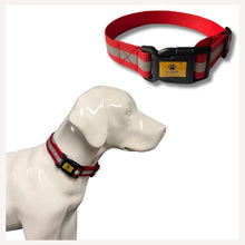 A+a Pets' Reflective Dog Collar for Community Dogs (Set of 5)