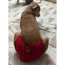 dog diaper for male