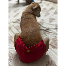 A+a Pets’ Cotton Reusable Washable Diaper for Dogs (Red)