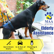 Dog wearing an elderly assistance harness with a person and outdoor background