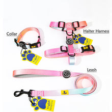dog harness leash and collar set in gradient pink design