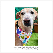 A+a Pets' 2in1 Scarf Collar Bandana for Dogs & Cats - Bones Collection