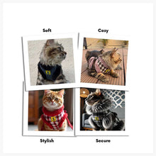 A+a Pets' Fur Harness & Leash Set for Cats & Small Dogs
