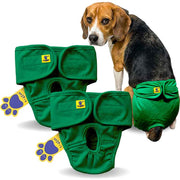 Dog wearing green diaper with multiple diapers displayed in front