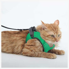 A+a Pets' Feather Weight' Harness & Leash Set for Cats & Small Dogs - www.aplusapets.com
