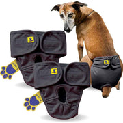 Dog wearing a diaper with additional diapers displayed on a white background