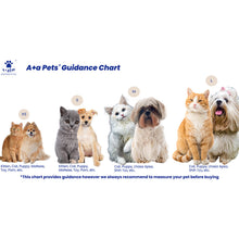 A+a Pets' Feather Weight' Cat and Puppy Harness & Leash Set - Grey - www.aplusapets.com