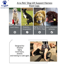 A+a Pets' Multi Function Vest style Dog Harness- Orange