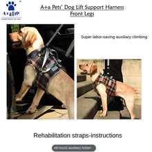 A+a Pets' Multi Function Vest style Dog Harness- Orange