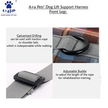 dog walk support harness