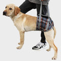 A+a Pets' Dog Lift Support Harness for Hind / Back Legs - www.aplusapets.com
