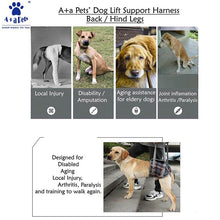 A+a Pets' Dog Lift Support Harness for hind legs - Blue