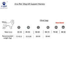 A+a Pets' Dog Lift Support Harness for hind legs - Blue