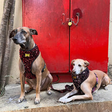 A+a Pets' Sequins Set of 5- Harness, Leash, Collar, Bow & Poo Bag Pouch- Red - www.aplusapets.com