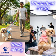 A+a Pets' Plush Harness & Leash Set with Cute Bunny Doll - www.aplusapets.com