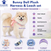 A promotional graphic for an A+&a Pets Bunny Doll Plush Harness & Leash set, featuring a fluffy cream Pomeranian dog wearing the pink harness. The image includes product details, sizing labels (Chest Girth, Neck Girth), feature icons for daily walks, travel, photoshoots, birthdays, festive celebrations, and gifting, and four circular close-ups of the plush doll, adjustable straps, D-ring, and soft harness fabric.