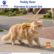 A fluffy orange cat wearing a yellow and purple harness with plush teddy bear details walks on a paved outdoor path. The harness is attached to a matching leash held by a person partially visible at the right edge.