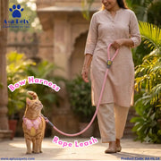 An orange tabby cat wearing a pink bow harness and leash is being walked by a woman in a beige kurta and trousers in an outdoor garden setting. The image features text overlays identifying the product parts and the brand logo 'A+A Pets'.