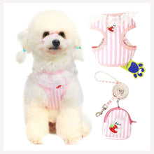 cute cat harness and leash with bag to keep things