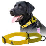 A+a Pets’ Martingale Collar for Dogs - Mango Cotton Collection - www.aplusapets.com