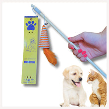 A+a Pets' Goodie Box of (3) for Cats and Puppies: Tunnel Toy, Wand Toy, and Catnip Mouse Chew Mint Toy