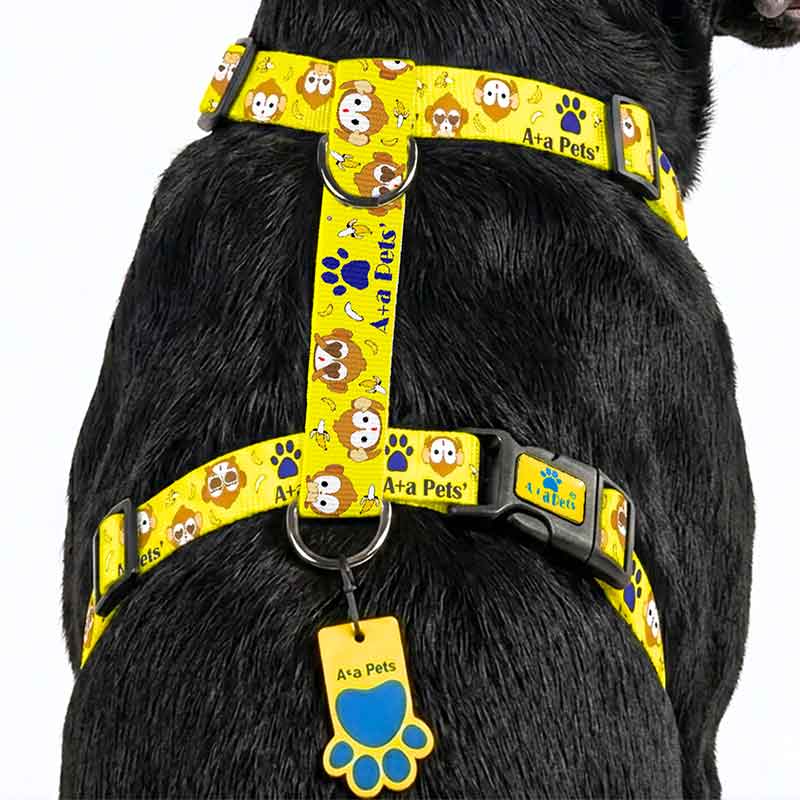 Dog wearing a yellow harness with cartoon designs on a black dog.