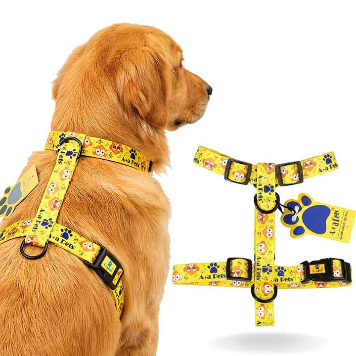 Dog wearing a yellow harness with cartoon designs on a white background