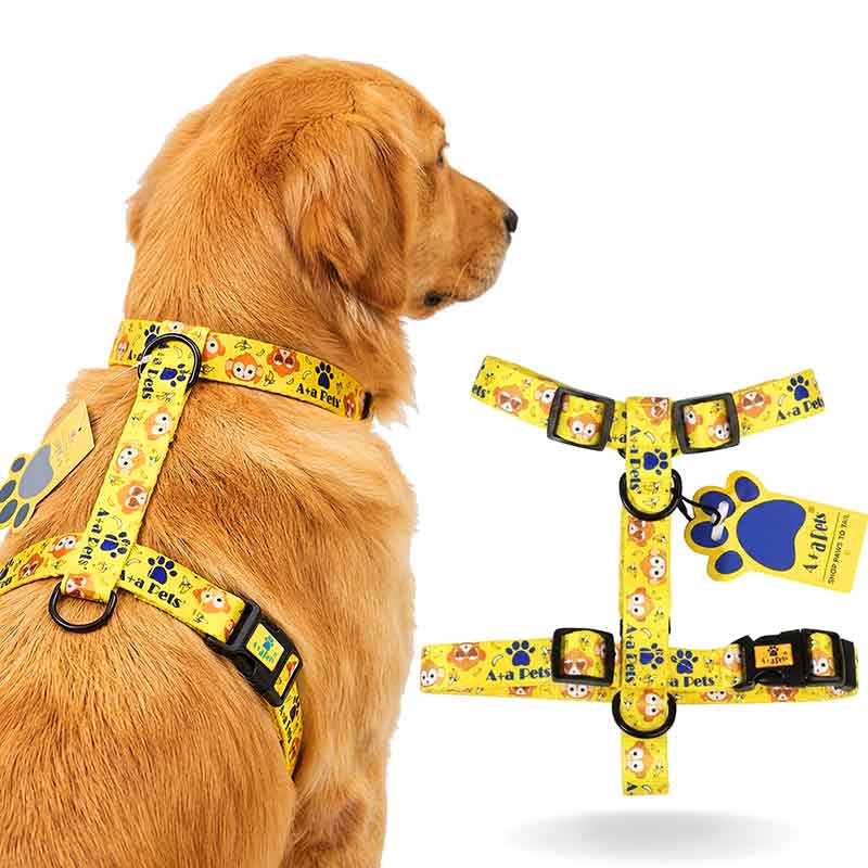 Dog wearing a yellow harness with cartoon designs on a white background