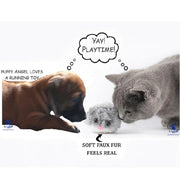 interactive dog toys
