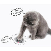 interactive cat toys