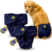 Dog wearing a navy blue diaper with packaging and additional diapers displayed.