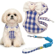 A small white dog wearing a blue and white gingham harness with a cream bow, shown next to the harness and matching leash on a white background.
