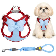 A pet harness and leash set shown on a white background, with a small white dog wearing the harness to the right. The harness is red with a large light blue bow on the front and a matching light blue leash attached at the bottom.