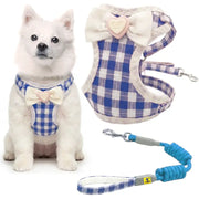 A small white dog wearing a blue and white gingham pet harness with a cream bow and heart accent, shown alongside the harness and matching leash on a white background.