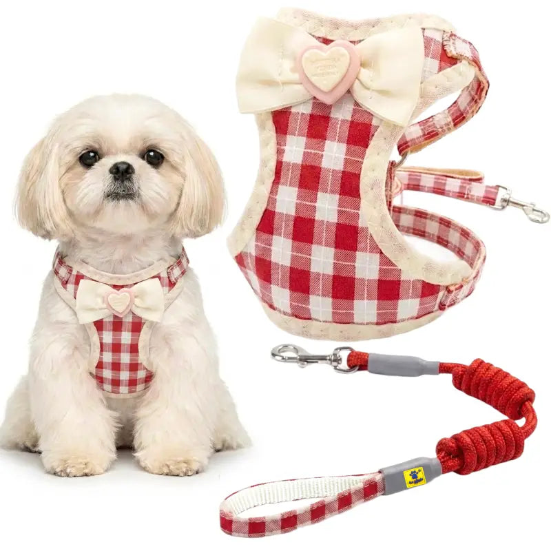 A small white dog wearing a red and white gingham harness with a cream bow, shown next to the matching harness and leash on a white background.
