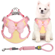 Pink and yellow pet harness with a large bow, shown alongside a small white dog wearing it and a matching pink leash.