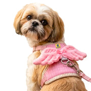 A small fluffy dog wearing a pink pet harness with decorative angel wings and a metal clip, photographed on a plain white background.