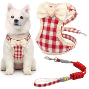 A small white dog wearing a red and white gingham harness with a cream bow and heart detail, shown next to the harness and matching leash on a white background.