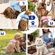 A collage showing pet harnesses in sizes S and M worn by different cats and dogs, with people in home and outdoor settings. The center features the A+A Pets logo with a paw print and the text 'SHOP Paws TO Tail'.