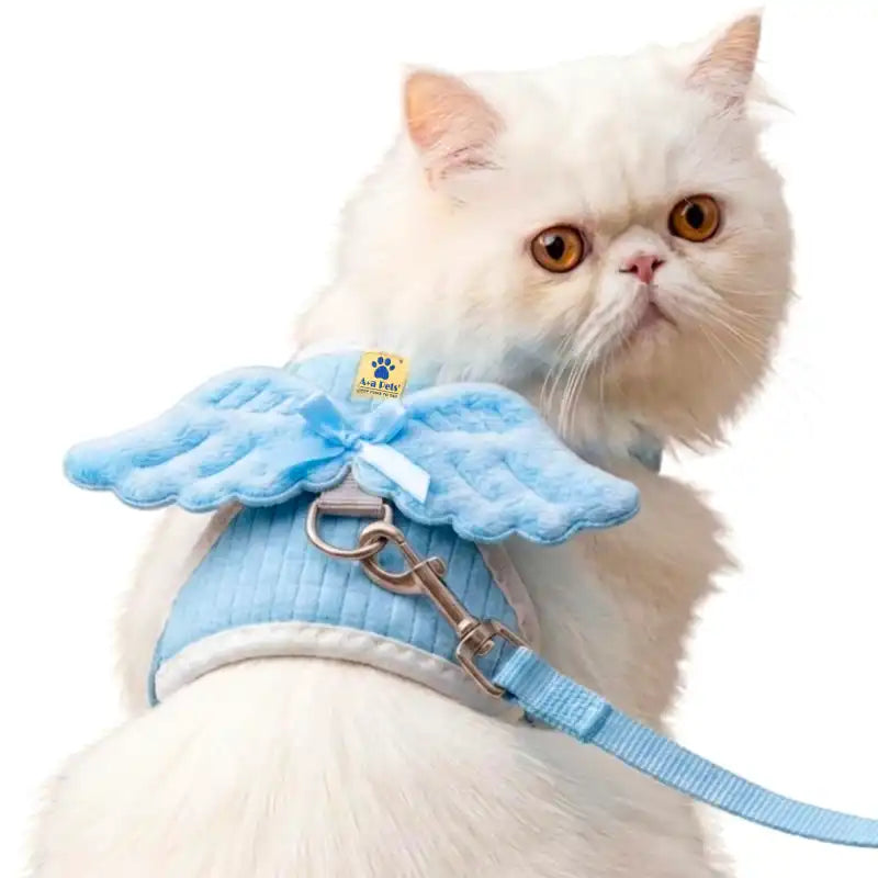 A fluffy white cat wearing a light blue pet harness with angel wings and a matching leash, photographed against a plain white background.