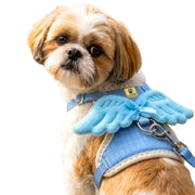 A small fluffy dog wearing a light blue pet harness with angel-wing shaped side panels and a bow, photographed on a plain white background.