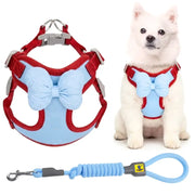A pet harness and leash set shown on a white background, with a small white dog wearing the harness on the right. The harness is red with a large light blue bow detail and gray buckle hardware.