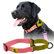 A+a Pets’ Martingale Collar for Dogs - Pink Cotton Collection - www.aplusapets.com